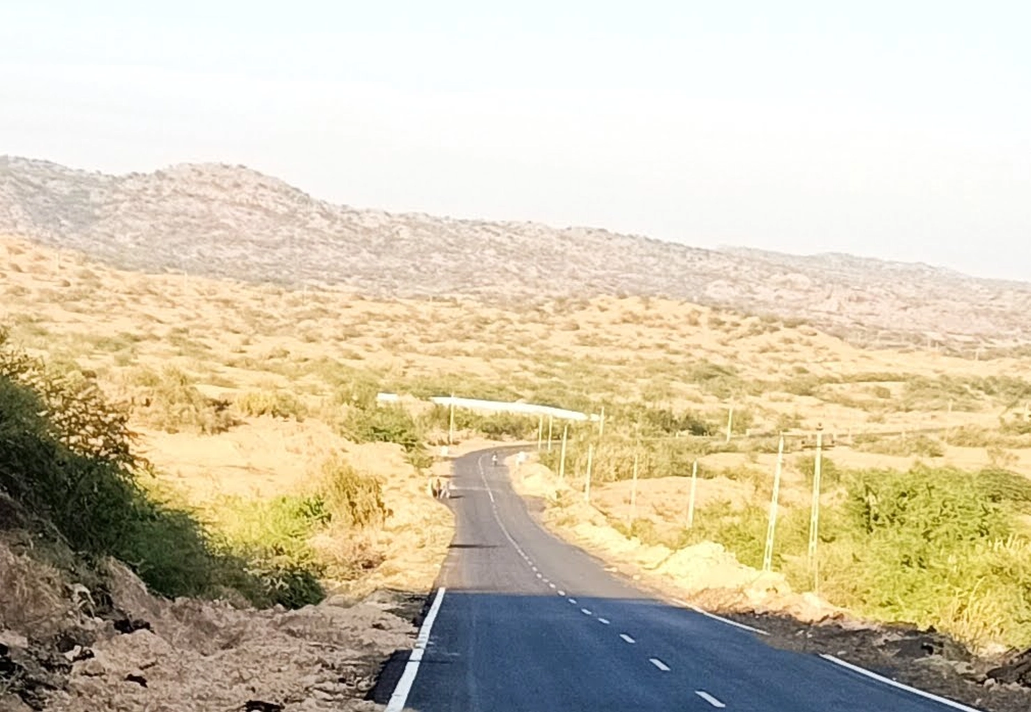 Scenic road near Lodai in Kutch Gujarat